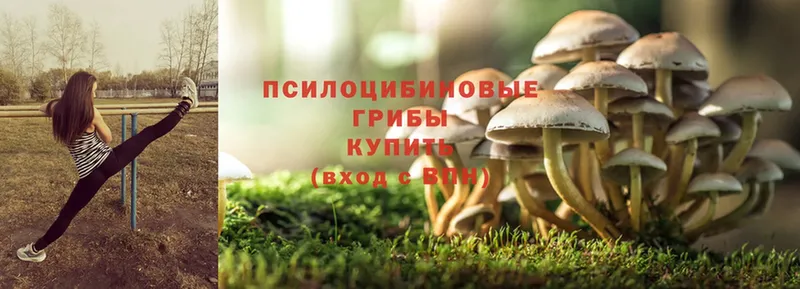 Галлюциногенные грибы MAGIC MUSHROOMS Наволоки